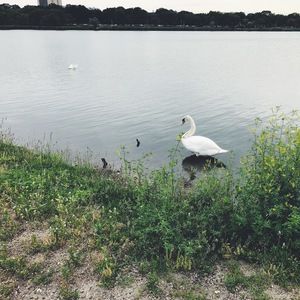 Meet your Posher, Muneeza